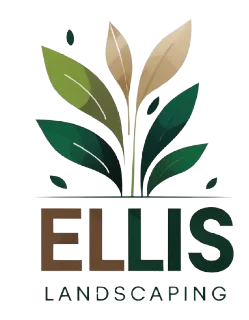 Website logo
